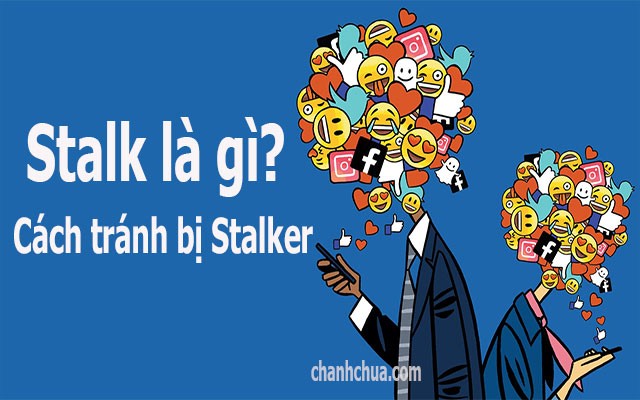 stalker là gì