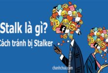 stalker là gì
